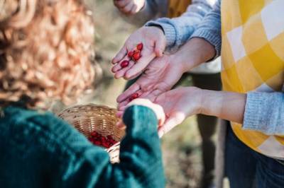 Nype stappfull av vitamin C