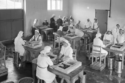 For 100 år siden ble norske blåbær brukt til mye mer enn saft og syltetøy