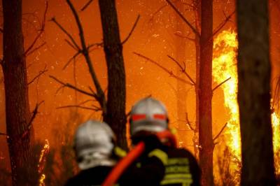 Derfor ble tømmerskogen en brannbombe