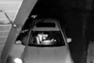 «Bjørn» brøt seg inn i bilen – Fikk 180 dager i fengsel