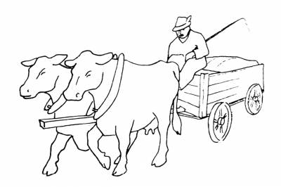 – Dyrehistorier på Fortellerkvelden &bull; Birkenesavisa