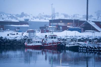 – Vær så snill, fortell oss hva som skjer