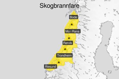 Har sendt ut gult farevarsel for skogbrann