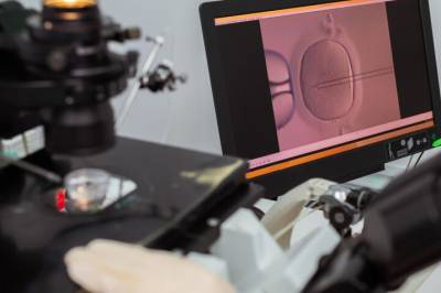 «Viktig fremskritt»: Forskere har klart å reparere feil i aldrende egg – håper flere lykkes på første IVF-forsøk