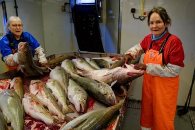 Havforskningsinstituttet har vært på skreitokt: – En oppgang i forhold til fjoråret