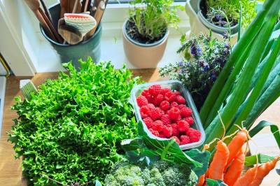 Forsker på matberedskap:  – Vi er rigget ganske sårbart