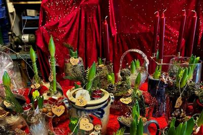 Julemarked Grønn Omsorg