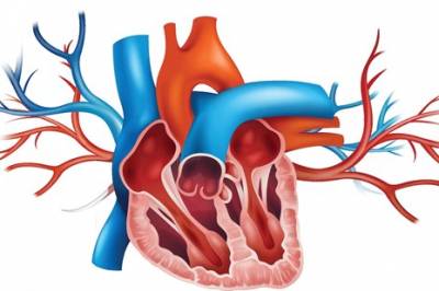 Asymptomatisk aortastenose