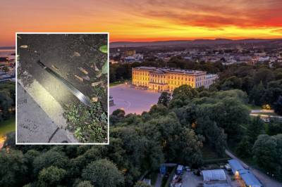 17-åring i retten: – Machete av den typen er ikke uvanlig