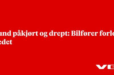 Hund påkjørt og drept: Bilfører forlot stedet