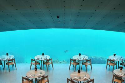Under restauranten: Fra økonomisk krise til millionoverskudd i 2025