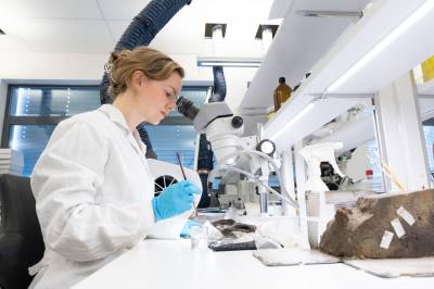 Redder nagle for nagle i forfallent vikingskip