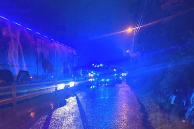 Drosje krasjet med hjort