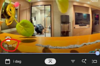 Fikk bot – så sjekket han hundekameraet: – Åpenbart juks