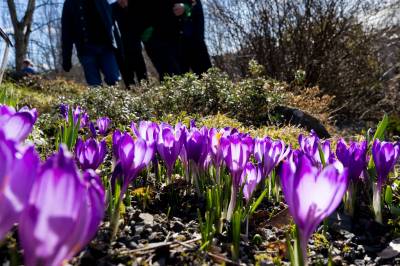 Påskeværet: – Nyt de gode dagene nå og ikke forvent at resten av påsken blir like bra
