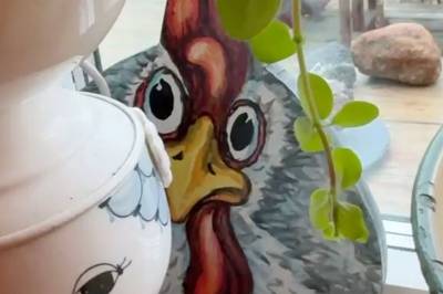 Sjekk hønesamlingen!