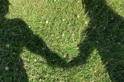 – Fleire av skulane har meir enn 100 elevar