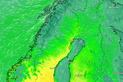 - Må ut og nyte sola