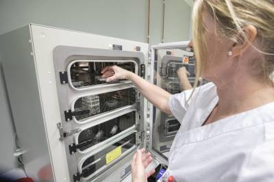 Regjeringen gir 40 millioner til forskning på Alzheimers