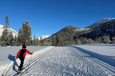 Nytt år, nye muligheter