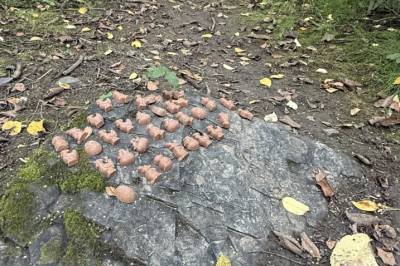 Slår alarm igjen: - Livsfarlig