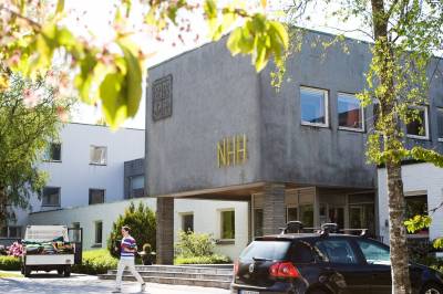 Problemet er ikke for mange økonomer