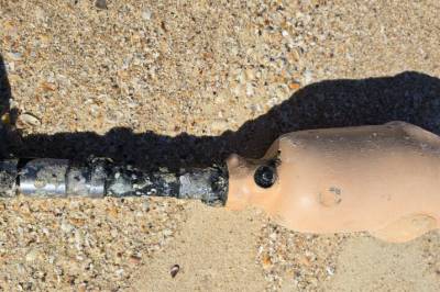 Trodde ikke sine egne øyne