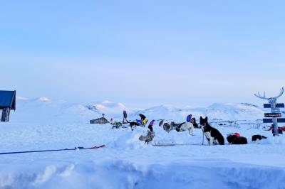 Åtte turister og 50 polarhunder fersket på DNT-hytte – hadde ikke betalt for seg