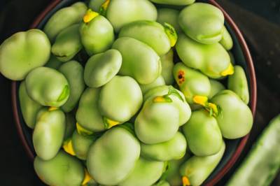 Den ukjente bønna har flere helsefordeler