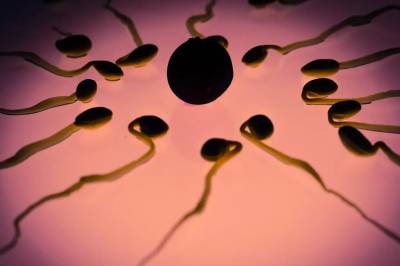 Reiser tvil om råd om fars bruk av epilepsimedisin før befruktning