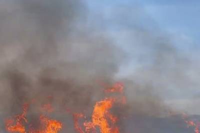 Kontrollert lyngbrann på Hågøyna