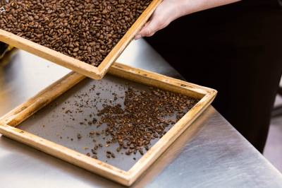 Kan norsk kaffebrenning elektrifiseres? Ja, mener forskere