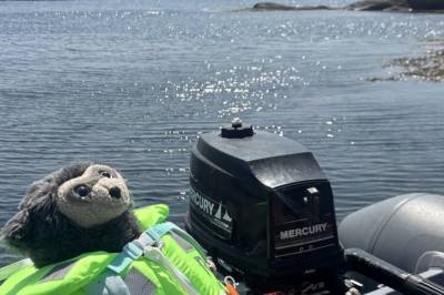 Rask, hvor er du?