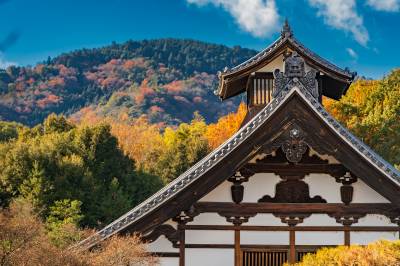 Liket av en savnet amerikansk universitetsstudent er funnet i Kyoto