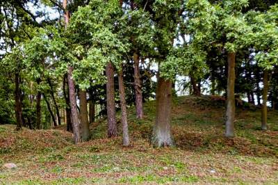 Det ligger skandinaver i de store tyske gravhaugene fra bronsealderen