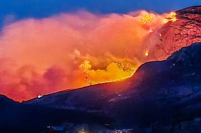 Terrengbrann - evakuerer bebyggelse