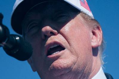 Trump hyller AfD-seier i tysk delstat