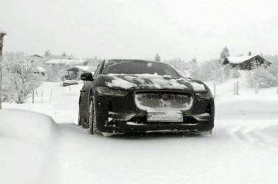 Disse bilmerkene har flest skader