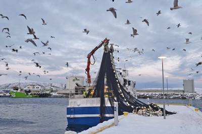 Fisket etter NVG-sild: Fire kast ga full kvote