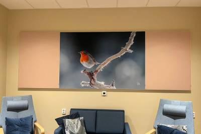 Foto i storformat på helsehuset