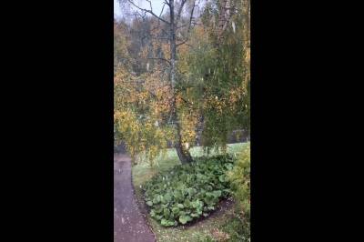 Snø i Oslo