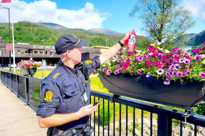 Blomsterbeda «pynta» med nazi-flagg