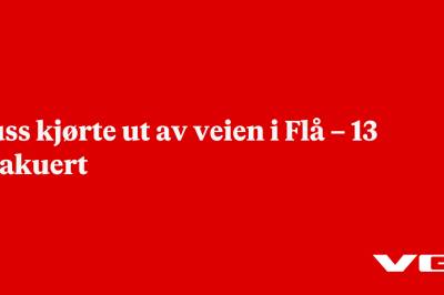 Buss kjørte ut av veien i Flå – 13 evakuert