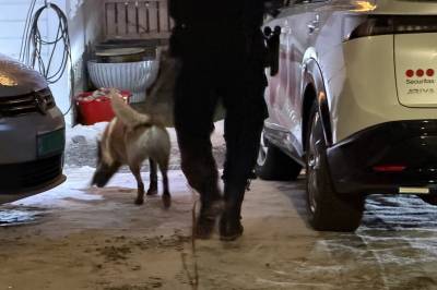 Ransbølge i Drøbak: Ble utsatt for innbrudd for femte gang