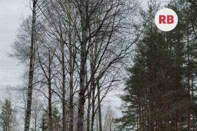 Mann i 30-årene siktet for voldtektsforsøk