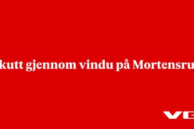 Skutt gjennom vindu på Mortensrud