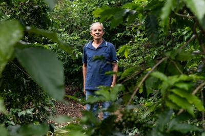 Klimatrøbbel har gitt kraftig økning i kaffepriser: – Det blir vanskeligere