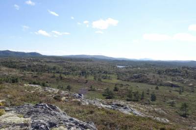 Nesten halvparten av norske naturtyper står nå på rødlista