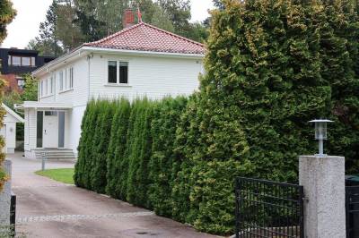 Sveits-utflyttere kjøpte villa i Oslo – vil ikke svare på om han skal flytte hjem