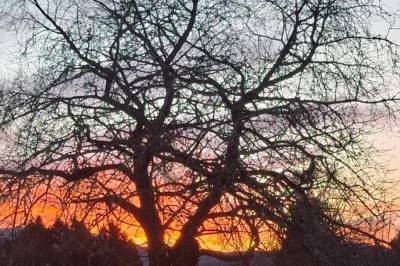 Utbygging av Fyllingsnes sikrar framtidig vekst og økonomisk utvikling i Alver kommune